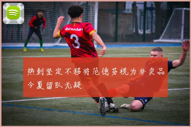 热刺坚定不移将范德芬视为非卖品今夏留队无疑
